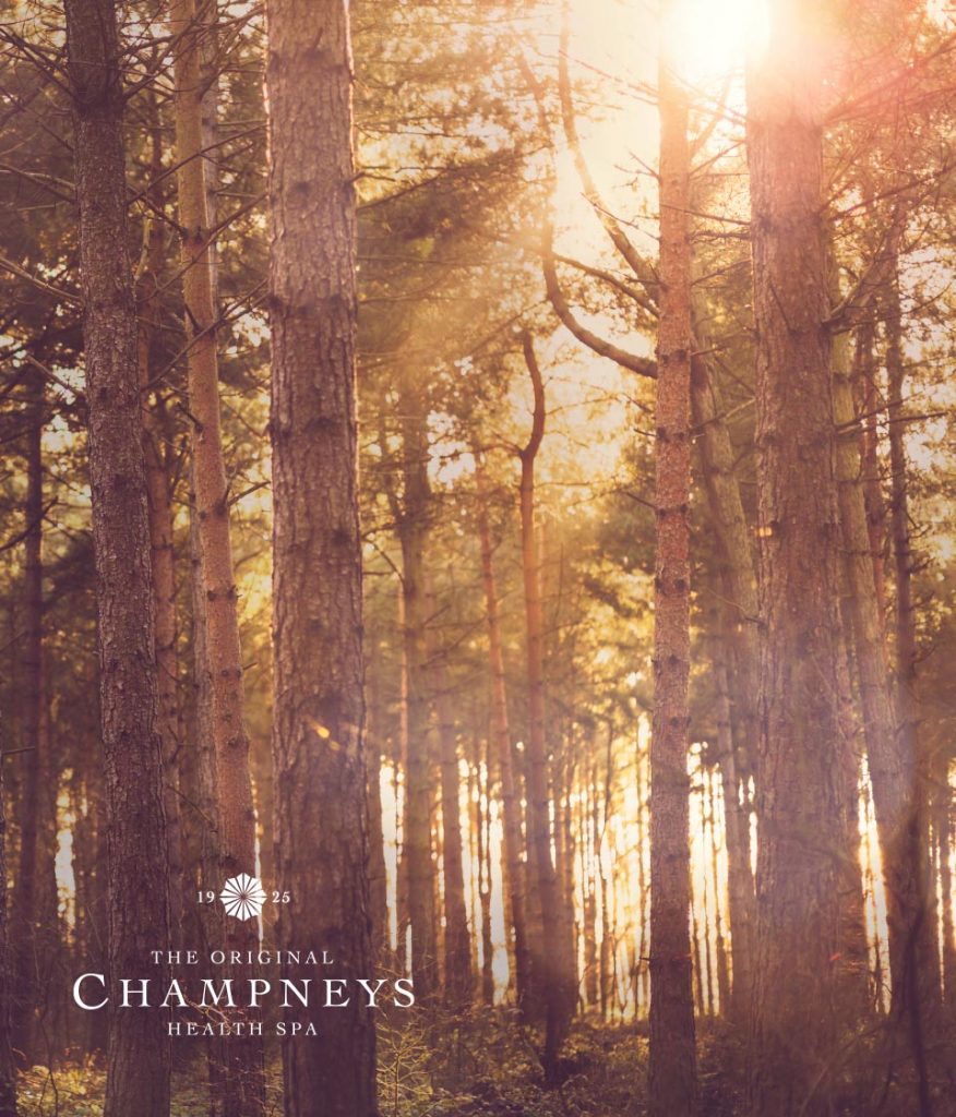 Champneys-Forest-Mere-Spa-Interior-Designers