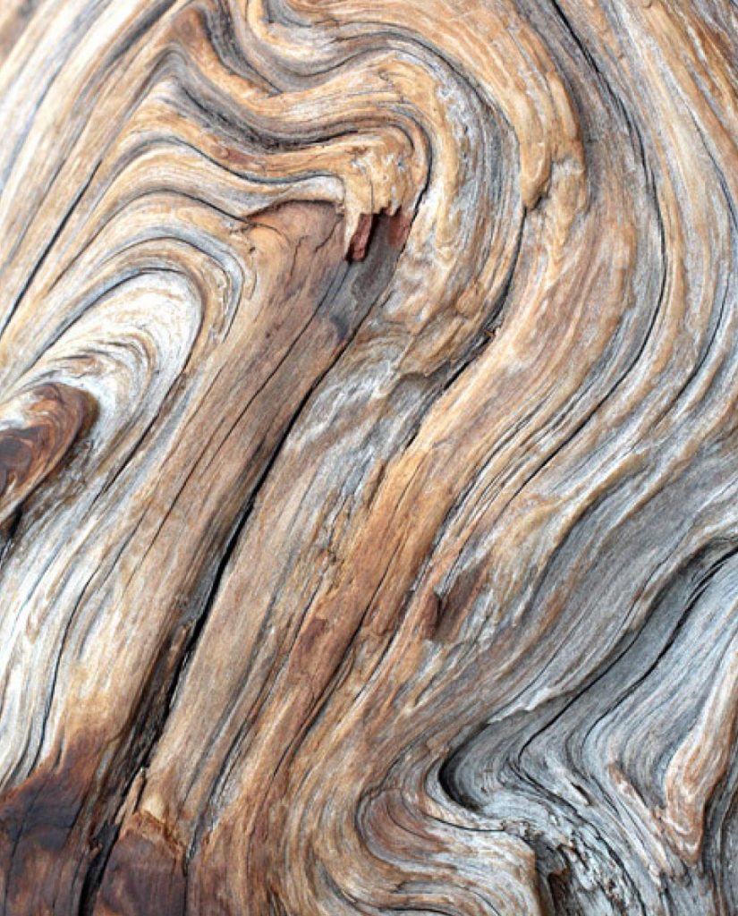 Silverlake-Dorset-Spa-Designers-Driftwood-texture