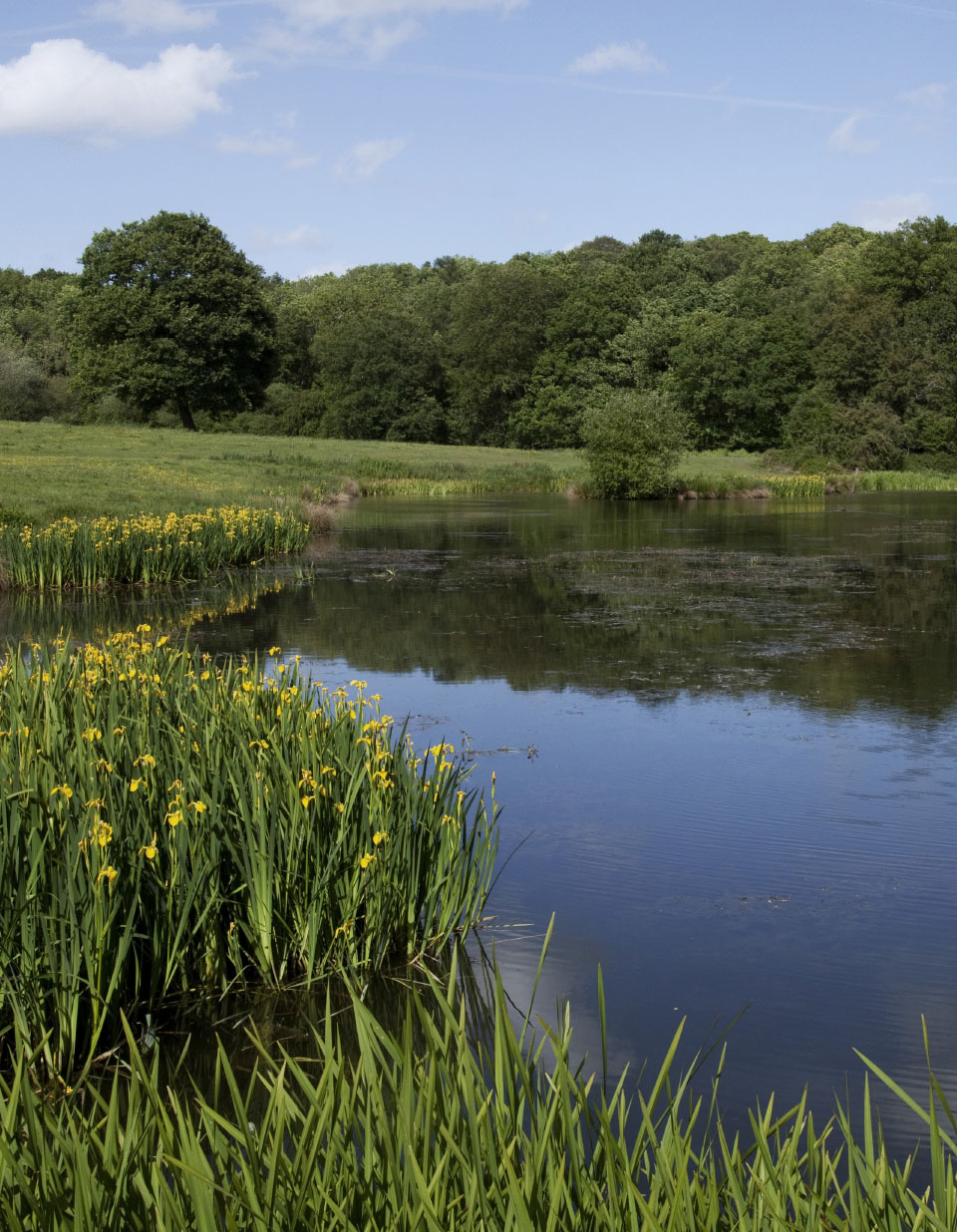 wyboston-hotel-design-spa-lakes